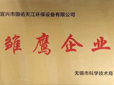 雏鹰企业